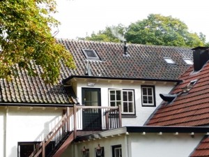 Pitched roofs / roof grille